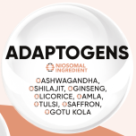 Qzome™ — Next-Generation Niosomal Delivery for High-Performance Skincare