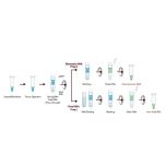 HiGene™ DualPrep FFPE DNA/RNA Extraction Kit