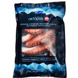 Octopus (Octopus Djinda)