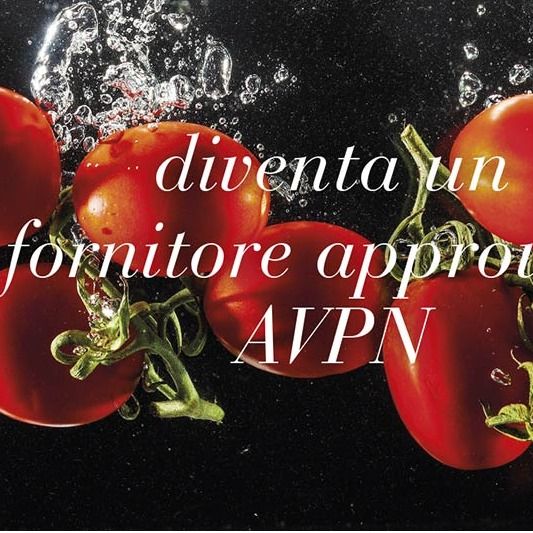 Albo dei Fornitori approvati dall'AVPN