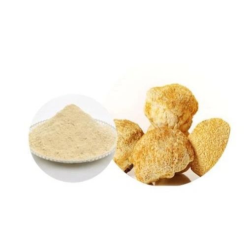 Organic Hericium Mushroom Poweer