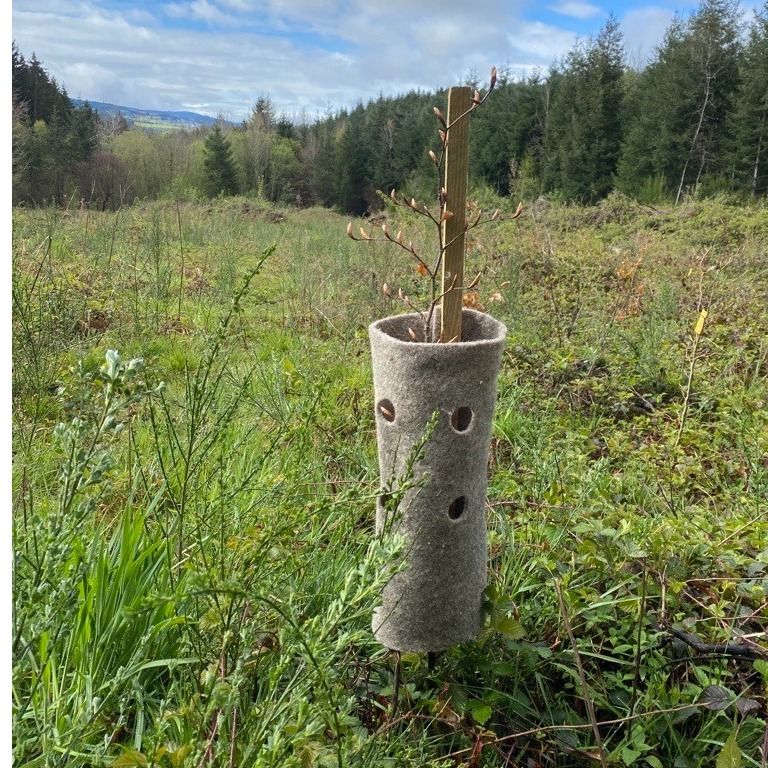 Manchon de protection