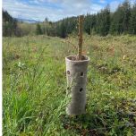 Manchon de protection