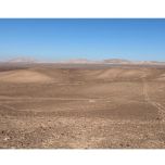 GAM - Production of renewable ammonia for power-to-X in Chile