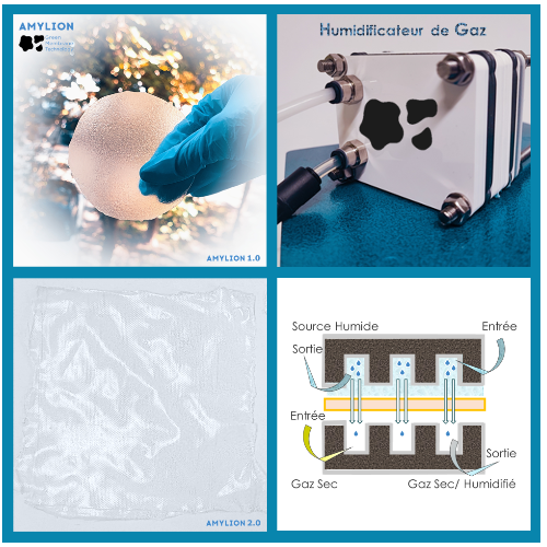 Amylion Gas Humidification System