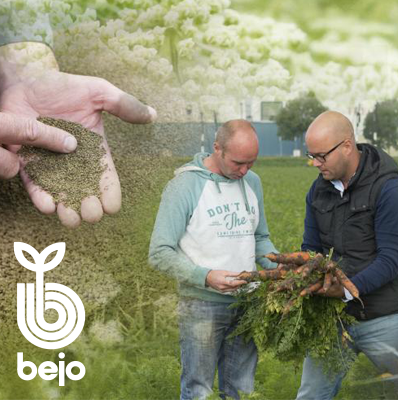 Organic vegetable seeds