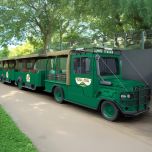 Introducing Three Innovative EV Road Trams