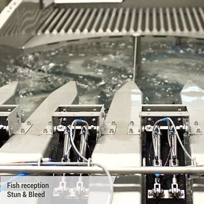 Verified Animal Welfare - Most Sophisticated BAADER Stunning and Bleeding