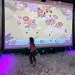 Interactive Ball Pool