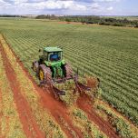 Arrancador de amendoim