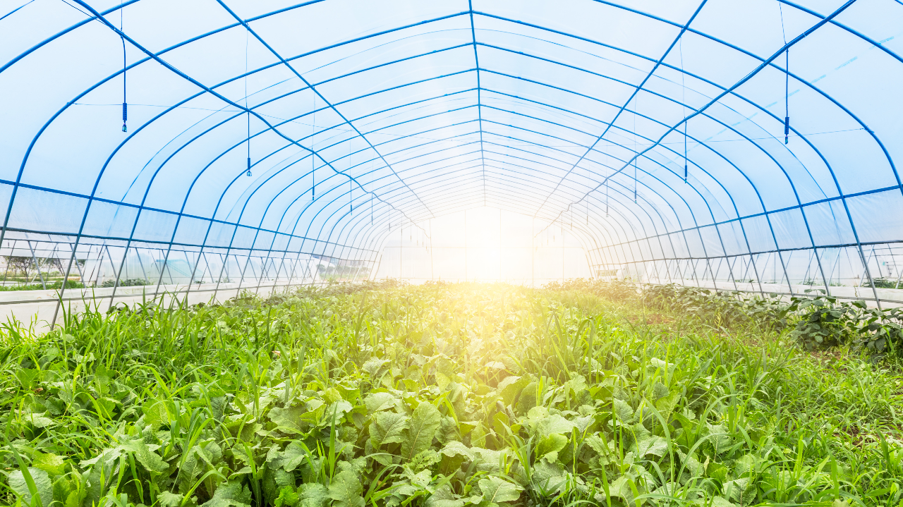 concilier le travail avec le soleil et les fortes chaleurs