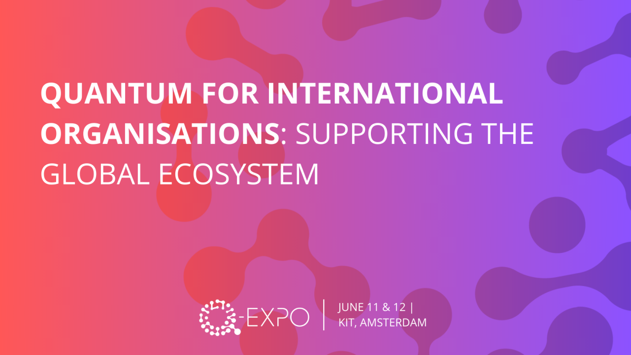 Quantum for International Organisations: supporting the global quantum ecosystem