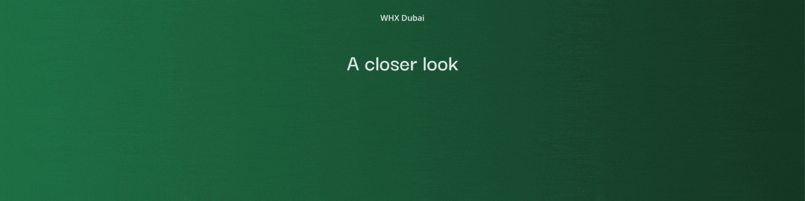 This is an image alt text