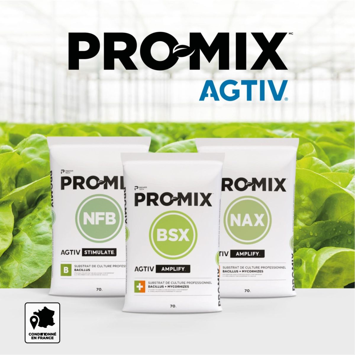 Substrats maraîchage jeunes plants