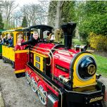 Wattman Mini & Maxi Express