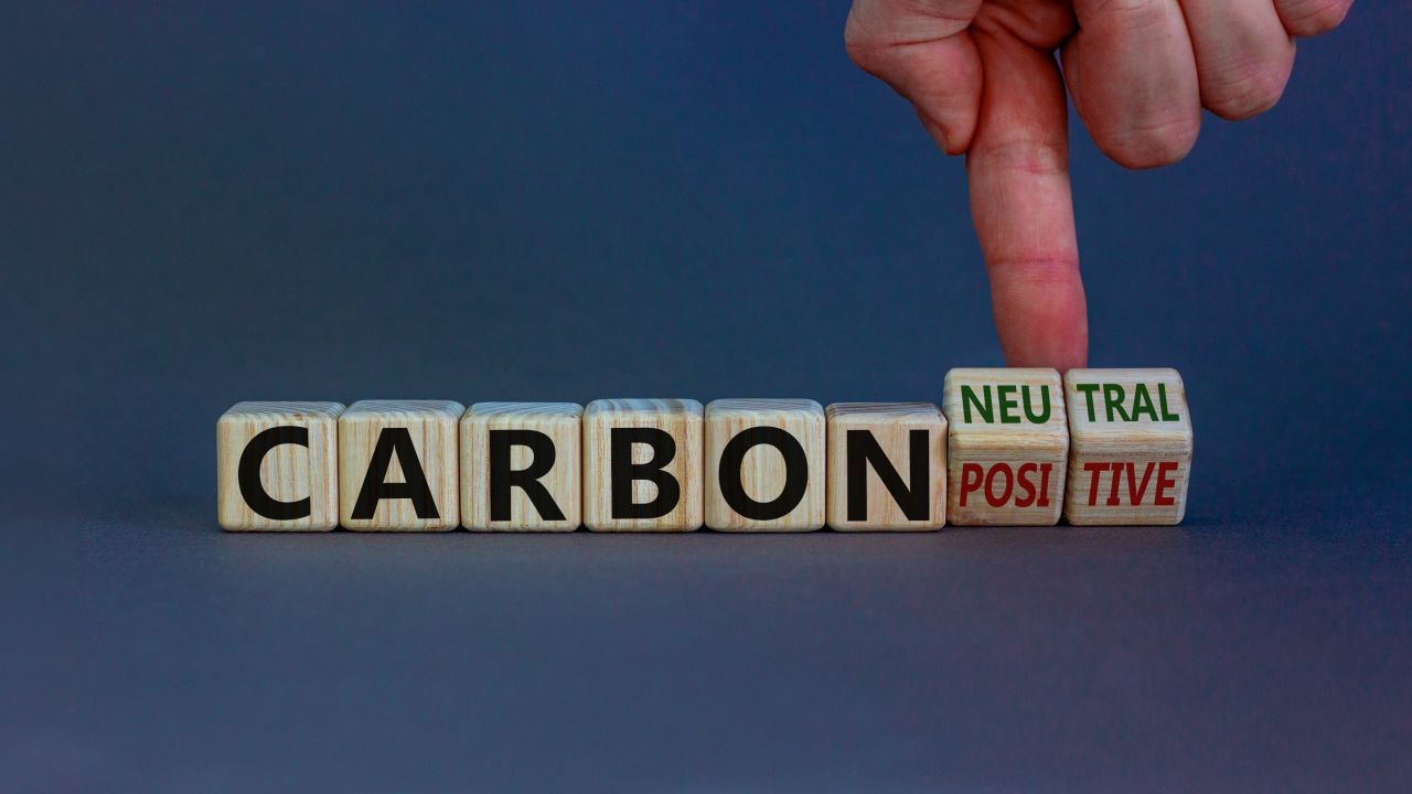 Panel: The Carbon Offset Debate
