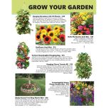 Spring Dreams (Gift Catalog)