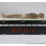 Digihuman HD Tomography 3D Printing Model ECDH-Int DP