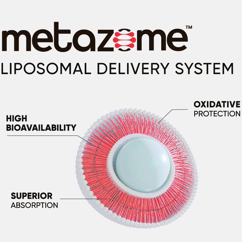 Metazome™ Technology — Next-Generation Liposomal Delivery for Superior Bioavailability