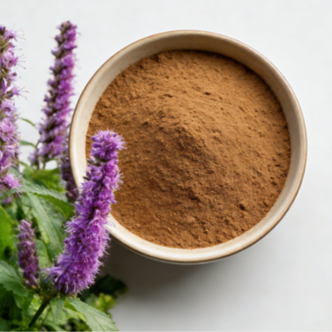 Chinese Mosla Herb Extract