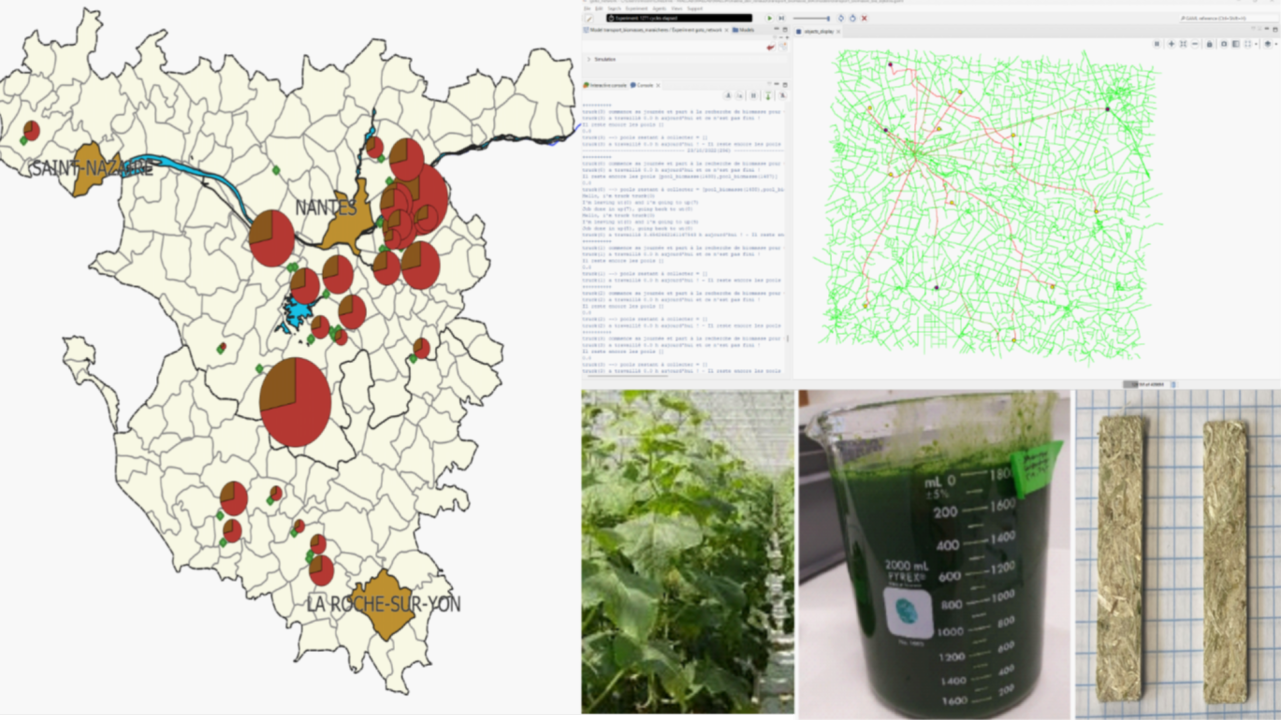 Valoriser les résidus du maraîchage en promouvant la circularité de la biomasse en Pays de la Loire
