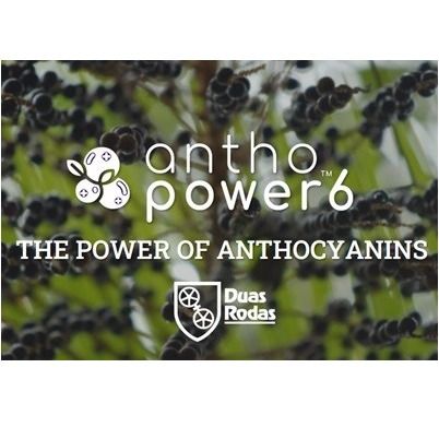 AnthoPower™ 6
