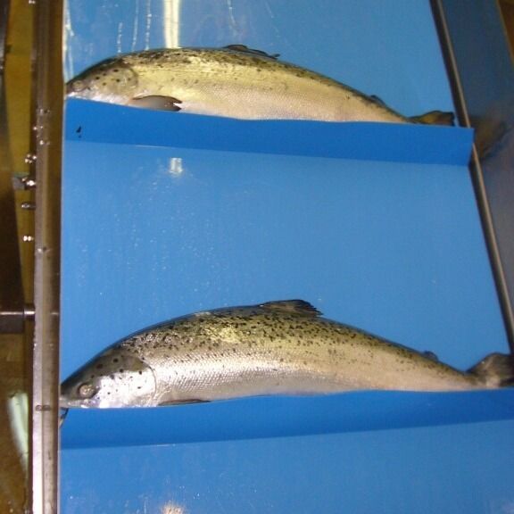 SOLIFLEX FB – CB reinforced