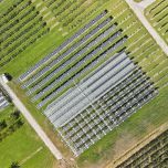 Agri-PV sur les vergers