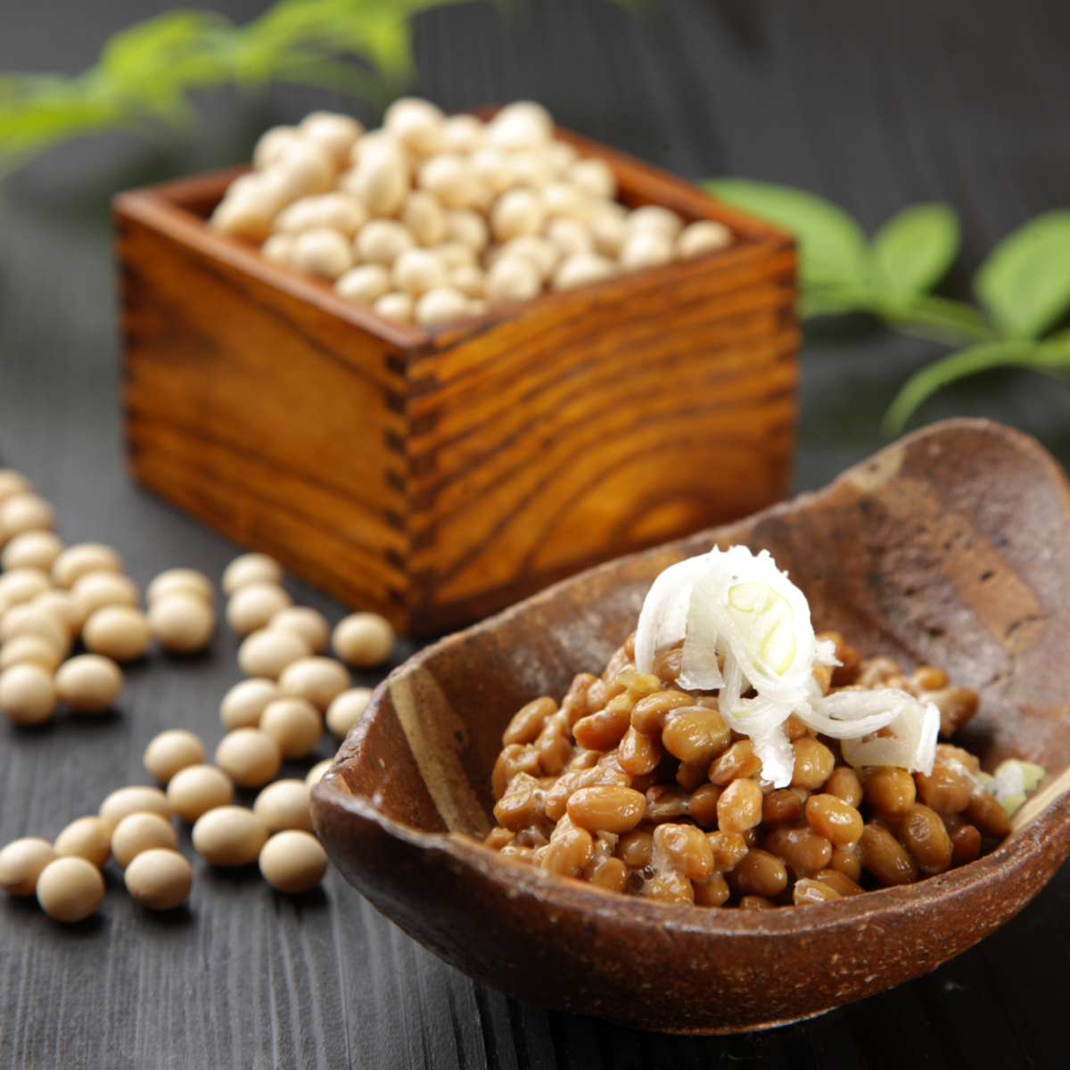 Vitamin K2 task force