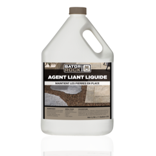 GATOR ROCK BOND