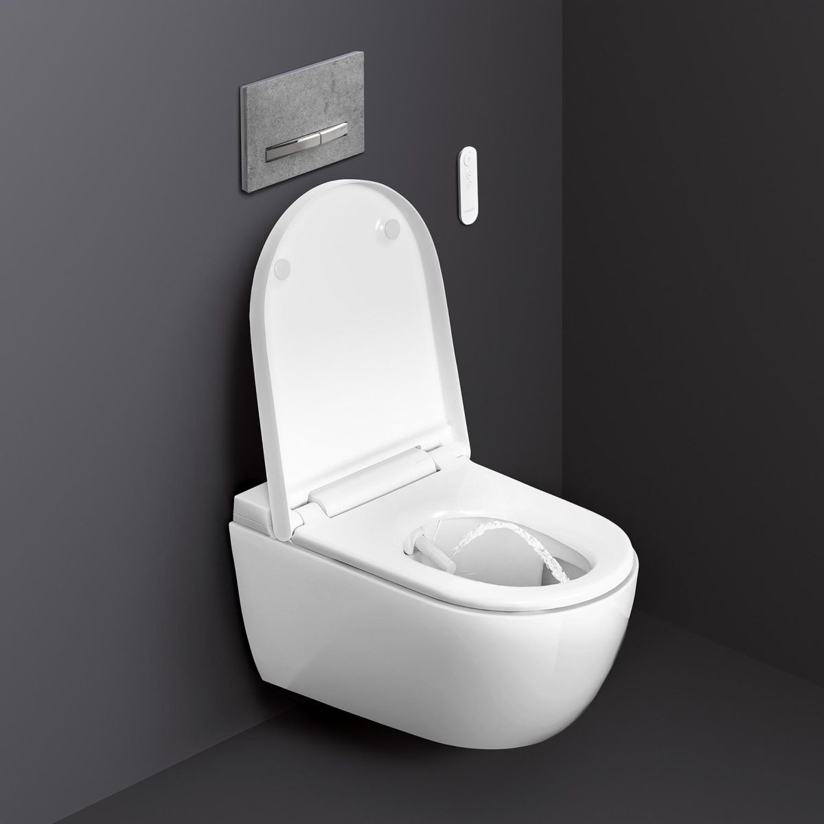 Geberit AquaClean Alba
