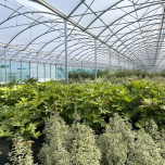 SERRES HORTICOLES
