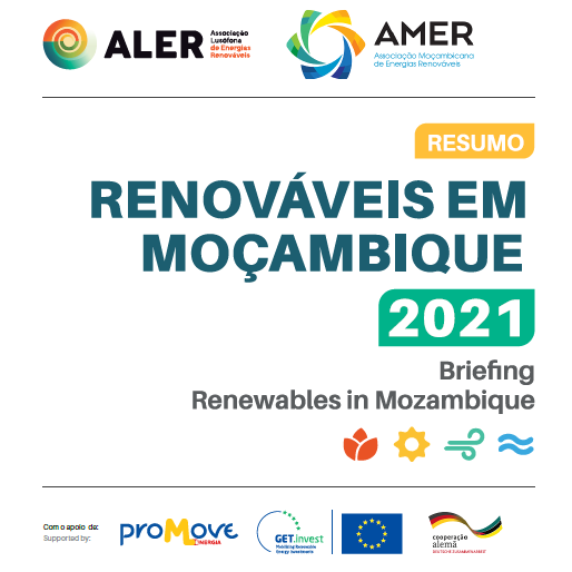 Briefing: Renewables in Mozambique 2021