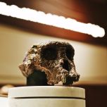 Smithsonian Walking Tour: Natural History & Air/Space Marvels by Babylon Tours