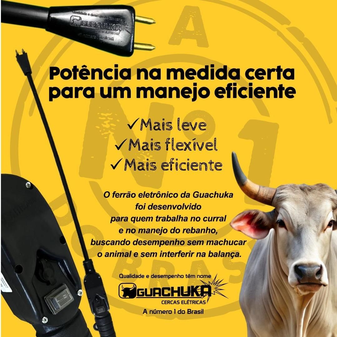 TECNOLOGIA QUE ENTREGA RESULTADO NO MANEJO