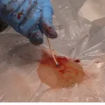 Simulador eletrônico humano para treinamentos médicos - Tactical Medical