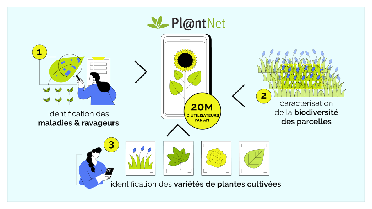 Pl@ntAgroEco : démonstration de l’application qui mêle IA et science participative pour diagnostiquer les maladies, gérer la biodiversité et accompagner les professionnels