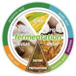 Fermented/Cultured Natural Preservatives