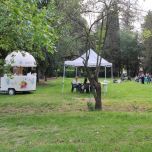 CHIOSCO DREAM, DREAM UP, DREAM CUP