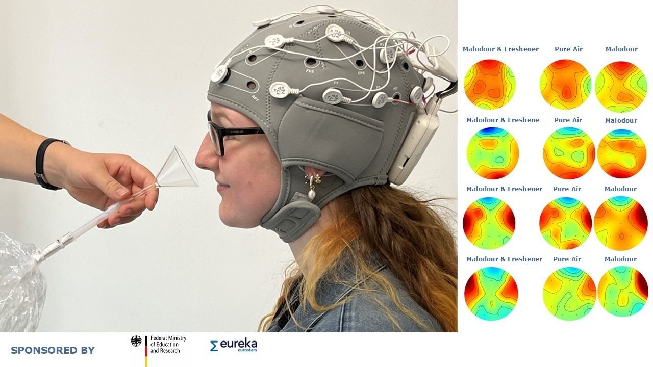 Decoding Odour Perception: Implicit Neurological Pathways in Sensory Analysis