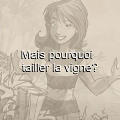 Vidéos sur les indispensables de la taille vertueuse de la vigne