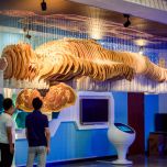 Digihuman HD Tomography 3D Printing Model ECDH-Int DP