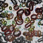 Bildoptische inline-Sensoren