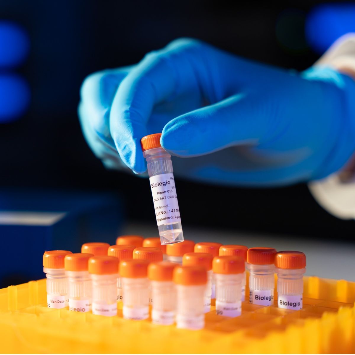 Biolegio Custom Oligo Synthesis