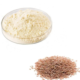 Organic Rice Protein Powder