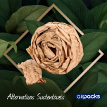 Airpacks Soluções em Embalagens