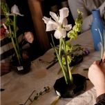 The Art of Presence & Balance Luxe Experience (Luxury Option)