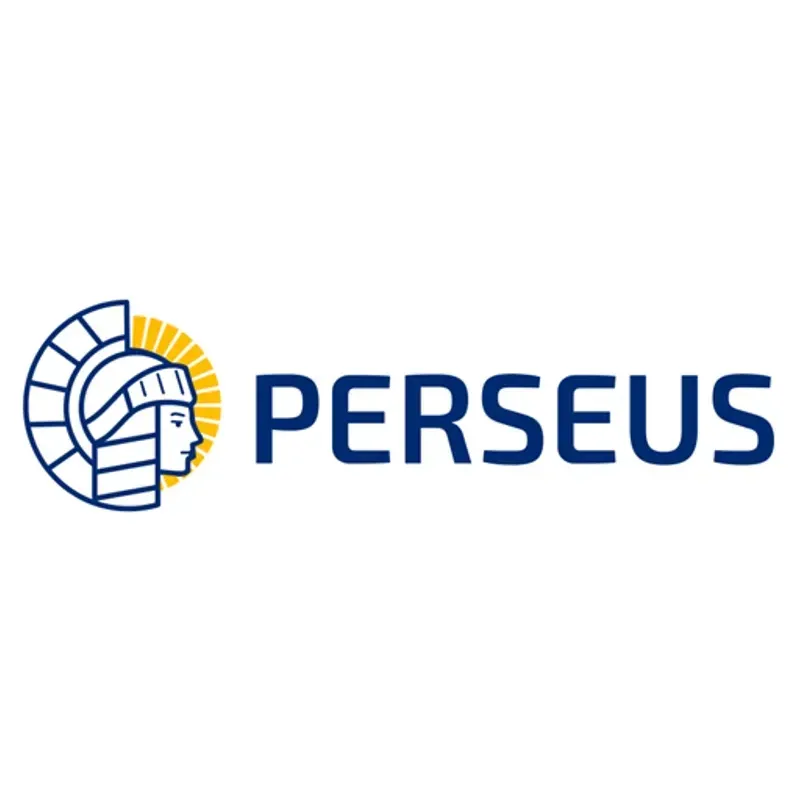 Printed Perovskite Solar Cells for Large Area User Applications (PERSEUS)