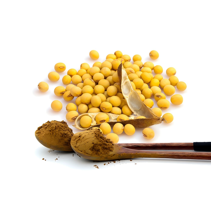 Soybean Extract