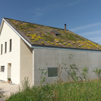 5 Architekten: A house without heating